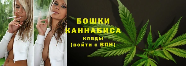 spice Ельня