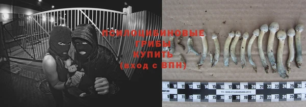молекула духа Елабуга