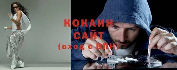 spice Ельня