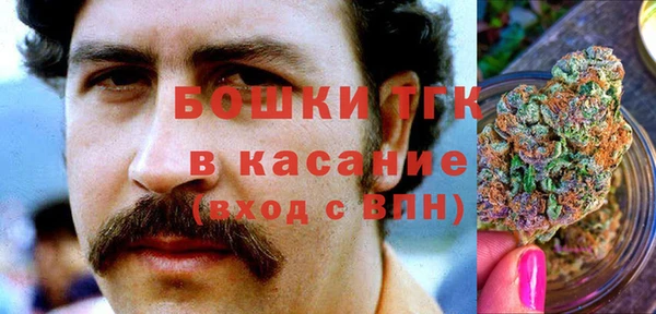 spice Ельня