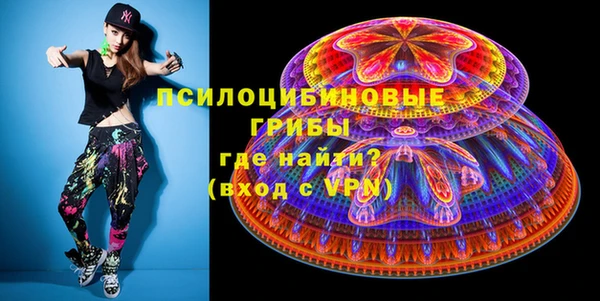 молекула духа Елабуга