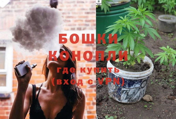 молекула духа Елабуга
