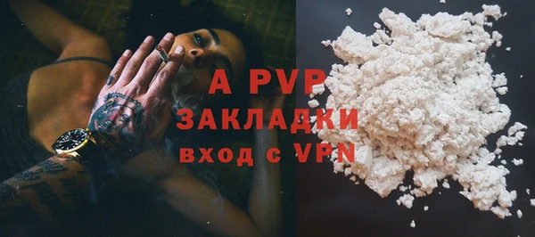 spice Ельня