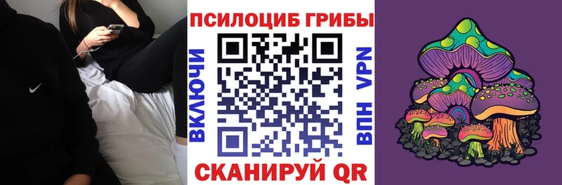 Псилоцибиновые грибы Psilocybe  Купить закладки  Светогорск 